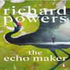 The Echo Maker by Richard Powers Paperback Book 9781804951682