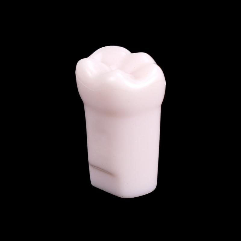 10Pcs Dental Typodont Teeth Model Removable Individual Screw-In Resin Denture Practice Tooth For Dental Studying Training