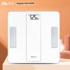 Xiangshan iF912B Smart Body Composition Scale
