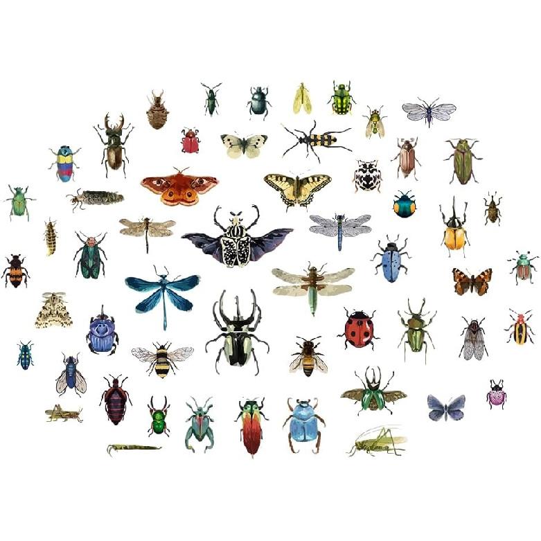 SUPERDANT Vintage Insects Scrapbook Wall Sticker Taxidermy Butterfly Wall Decor Moth Beetle Decal Dragonfly Grasshopper Vinyl Art Wallpaper for