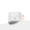 Incellderm RADIANSOME 100 Microfluidizer 3Set 50ml