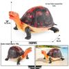Wild Animal Model: Children's Simulation Turtle Gift Set - Tortoise Variants & Spiderweb Design.