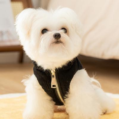 Welpenkleidung Herbst und Winter kleiner Hund Teddy Bichon Welpe Kätzchen warm Cord zweibeiniges Haustier Baumwollmantel