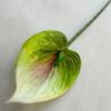 Plants Anthurium Simulated Wedding Hotel Restaurant Decoration Desktop Ornament