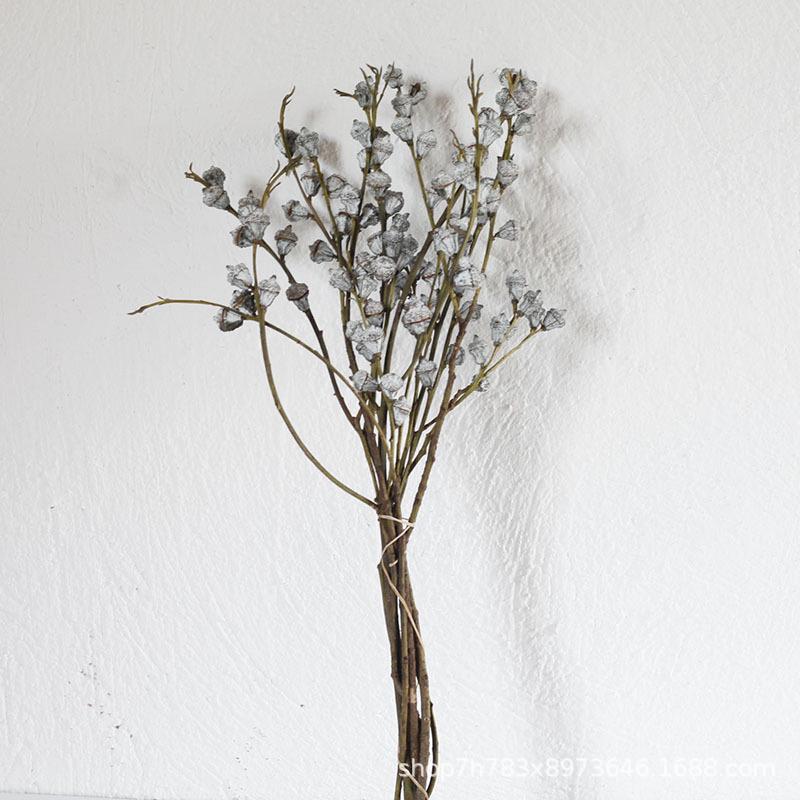 Yunnan Eucalyptus Dried Flowers with Small White Fruits - Medium and Large Diamond Eucalyptus Fruits for Home Decor.