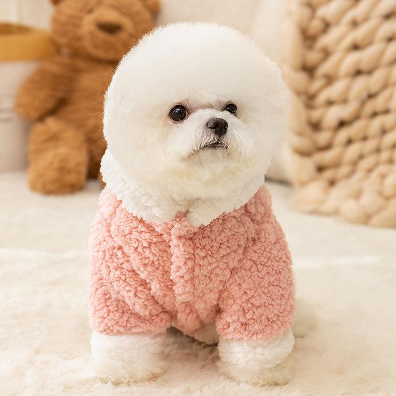 Autumn and Winter Dog Clothes Two Feet Comfortable Cotton Lint Warm Hooded Teddy Bear Small Dog Pet Winter Dog Clothing
