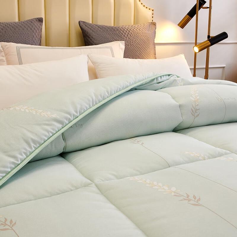 Gemütliche Winter-Polyesterfaser-Steppdecke