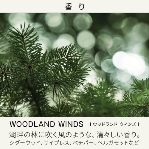 [Released in 2024] BAUM Oil Control Emulsion n (Replacement) Emulsion Forest Bathing Modern scent of refreshing natural cypress fragrance Refill 100mL