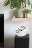 Sealyham Terrier, Welsh Border Terrier – Wall clock with a dog, shelf clock with a print | Art-Dog