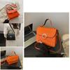 Chic Street Style 2024 Latest Spring Casual Crossbody Handbag Single Shoulder Small Square Bag