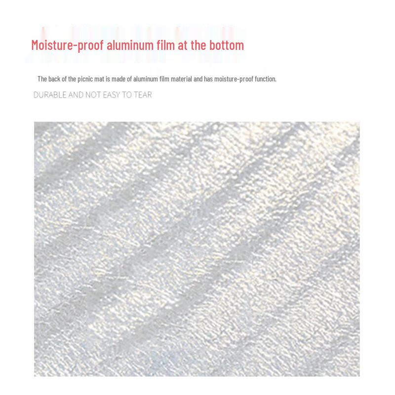 Haipinlong Outdoor Aluminum Film Moisture-proof Mat