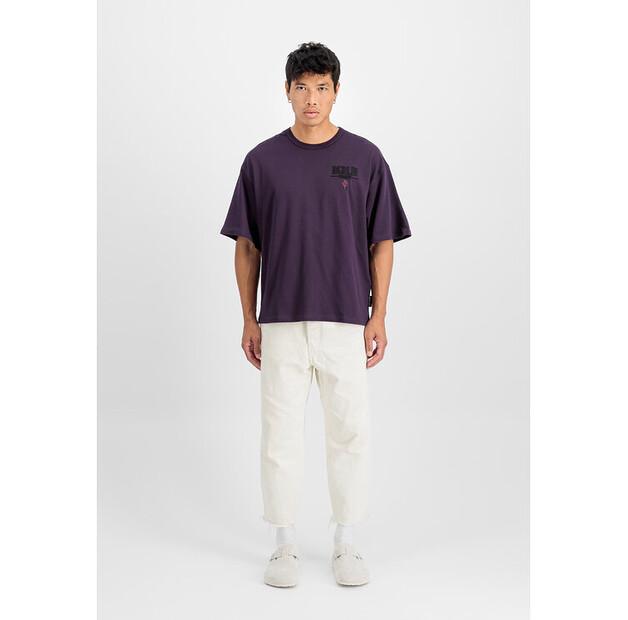 Футболка Alpha Industries Berlin Candy Bomber Backprint