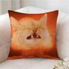 Fun Kwaii Cat Anime Pillow Case Pillowcase Doublesided Printed Sofa Cushion Bedroom Headboard Pillow