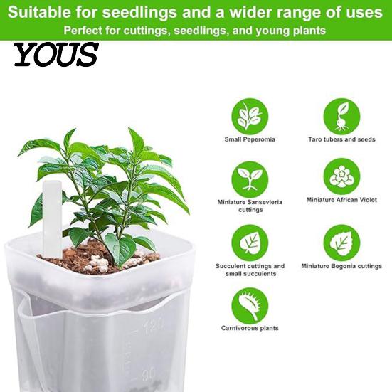 Automatic Watering Flower Pot Mini Self Pots with Wick, Clear Plastic Planters Drainage Holes & Water Level Indicator for Indoor Plants