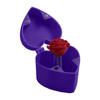Rose Heart Rose Heart Surprise Rose Heart For You Rose Of The Rose In The People's Day Birthday Adult Valentine's Day