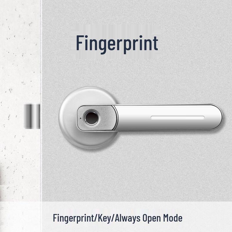 Aokewen Bright Silver Indoor Smart Fingerprint Lock