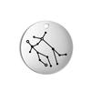 Stainless Steel Zodiac Charms for Jewelry Making Constellation DIY Pendants for Necklace Bracelet Keychain Earring