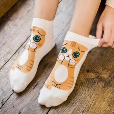 Lot de 5 paires de chaussettes pour femme, motif chat mignon, respirantes, idéales pour le quotidien