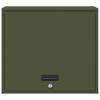 Wall Mounted Garage Cabinet with Gas Pressure Lift Door Olive Green