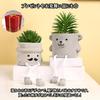 Charmoon Mini Palm-Sized Faux Green Houseplant, Cute, Realistic, and Unique (Bear & Whiskers)