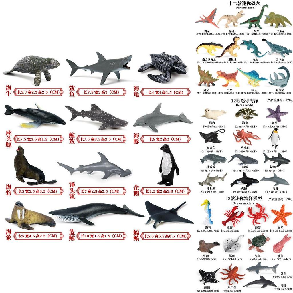 Sea Turtle Dolphin Marine Animal Miniatures Collection For Kids Educational Toys And Decor