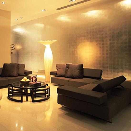 Explux High Beam LED Bulbs, 100W Equivalent, Wide Beam Angle, Warm White, Dimmable, E26 Base, Glass Body, Outdoor Waterproof and Deterioration