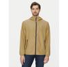 Beige Chicago Windbreaker DM0DM20204, Standard Fit