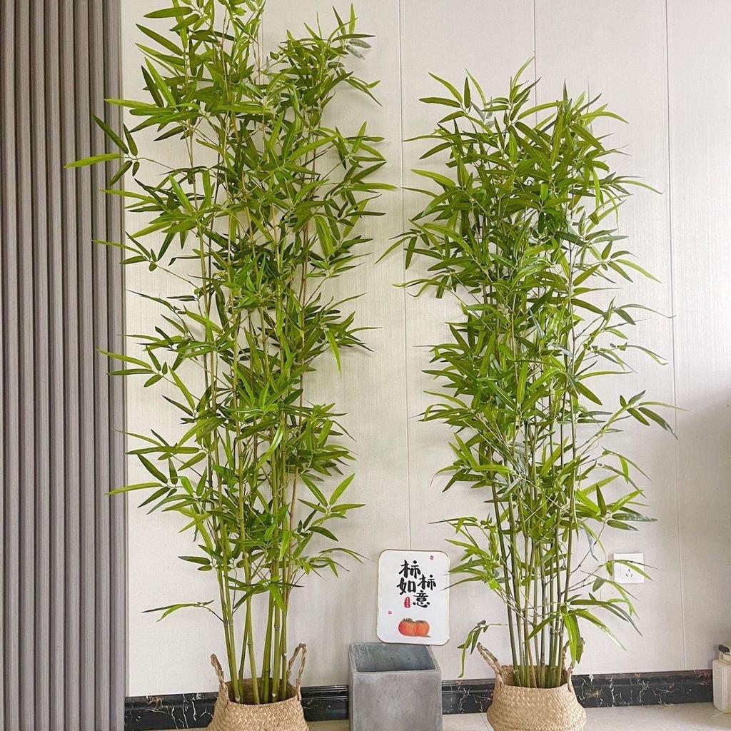 Indoor/Outdoor Fake Bamboo Partition Screen - Decorative Bamboo Bonsai Wall for Landscaping