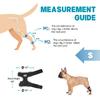 Supet Dog Leg Brace for Back Leg - Hock & Ankle Joint Support for Rear Legs with 2 Metal Springs, Anti-Slip Design & Reflective Trim for Sprain,