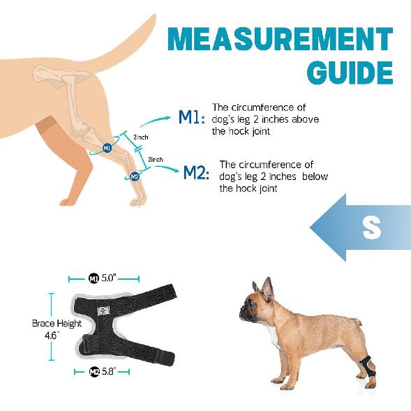 Supet Dog Leg Brace for Back Leg - Hock & Ankle Joint Support for Rear Legs with 2 Metal Springs, Anti-Slip Design & Reflective Trim for Sprain,