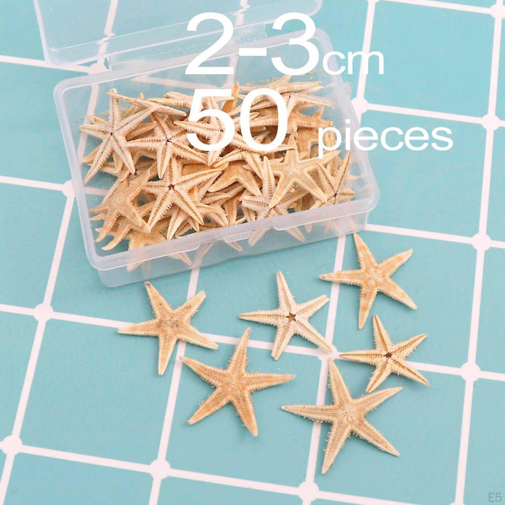 for Wedding Decor Beach Theme Party, Home Decorations,crafts, Fish Tank Landscape