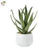 Simulated Cactus Fleshy Potted Office Decoration Fake Cactus Cement Retro Small Bonsai