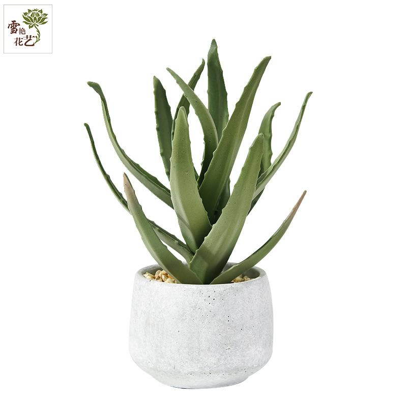 Simulated Cactus Fleshy Potted Office Decoration Fake Cactus Cement Retro Small Bonsai