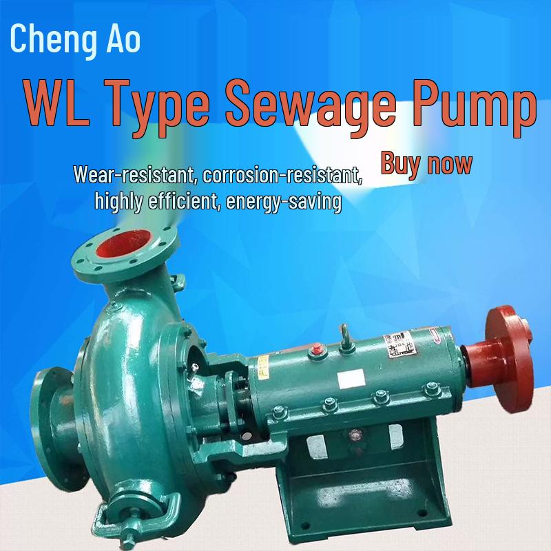 PW Horizontal Large Flow Sewage Pump - Self-Priming, Non-Clogging Cast Iron Design