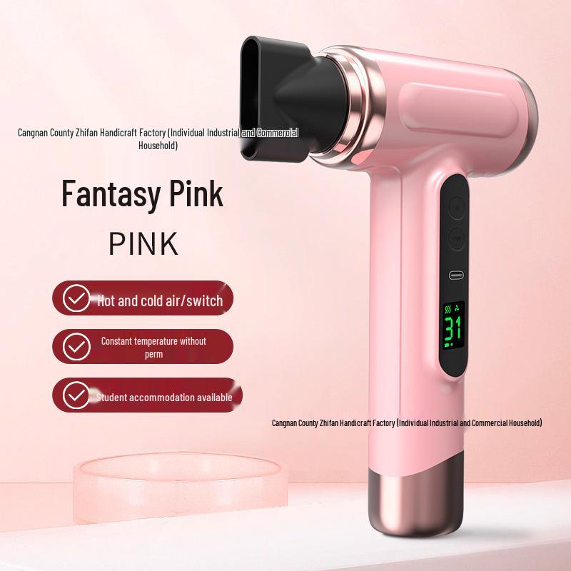 Multi-Mode Electric Hair Dryer with High/Low Power & Blue Light