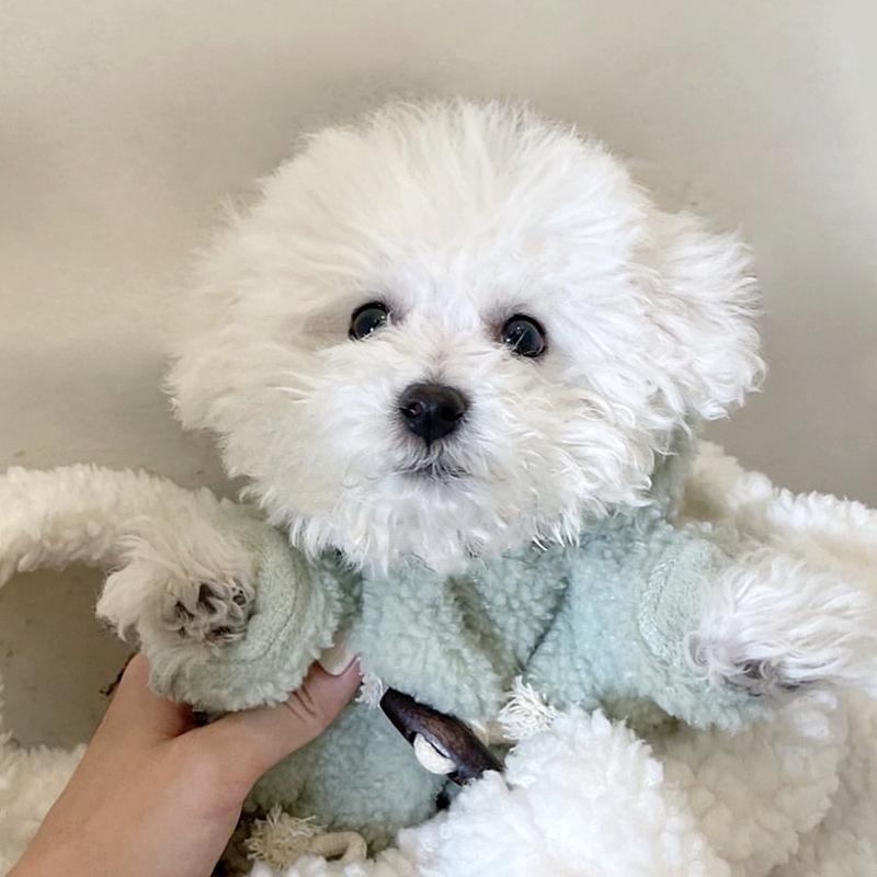 Dog Autumn And Winter Traction Pet Clothes Teddy Bichon Schnauzer French Dou Corgi Small Dog Pomeranian Winter