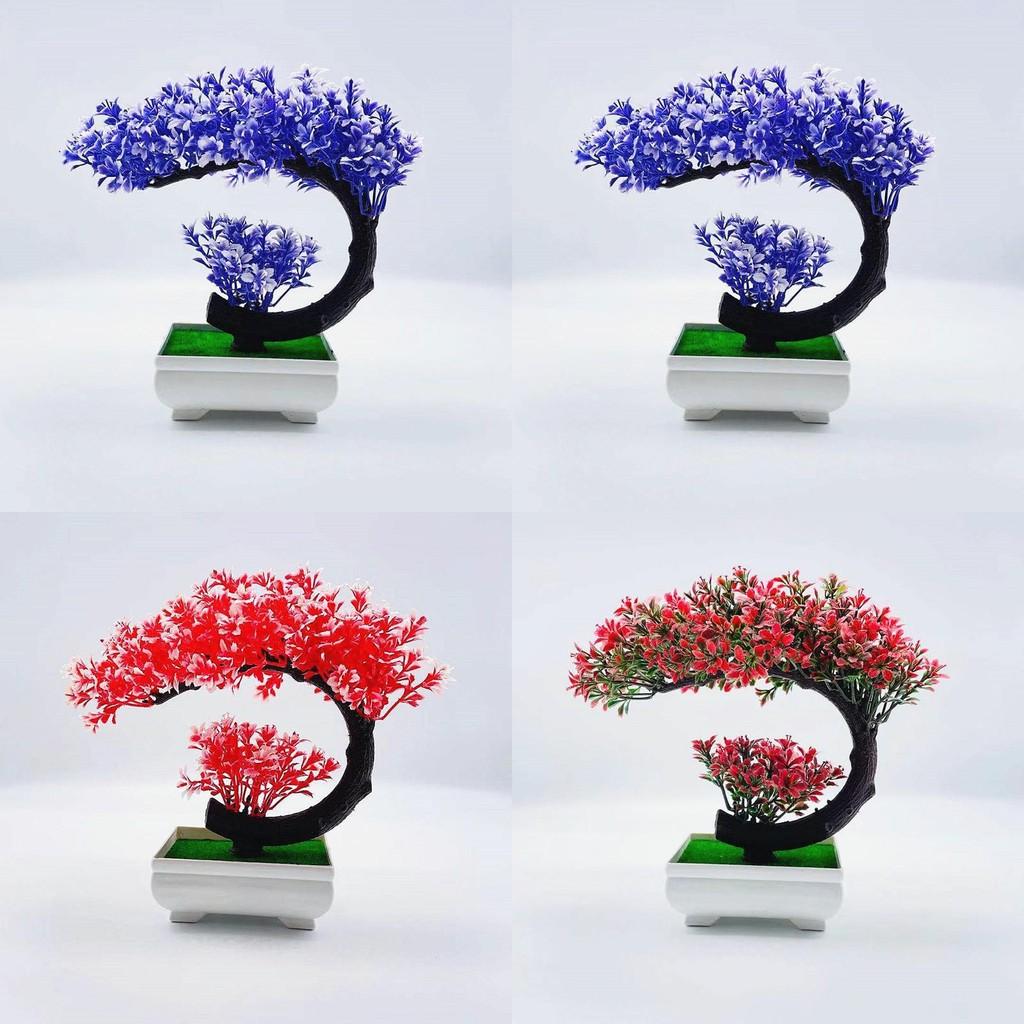 Pinus Hwangshanensis Bonsai Wewnętrzny Roślina Plastikowa z Kolorową Doniczką do Dekoracji Przestrzeni Mieszkalnej