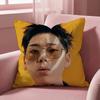 Z-ZICO SINGER Cushion Cover Multi-Scene Pillow Cover for Home & Car - Reversible, Soft & Durable for Daily Use