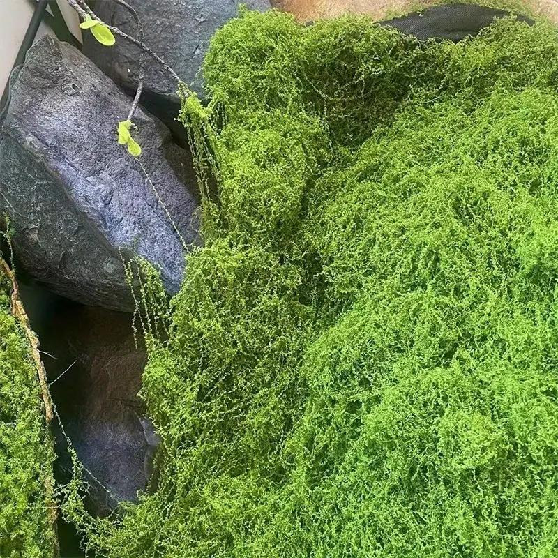 Lifelike Artificial Moss For DIY Crafts Home Decor  Evergreen Plant Accent For Indoor Landscapes Wedding Decorations  More