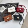 High-end Small Square Handbag For Women, Trendy, Fashionable And Versatile, Popular Commuter Style Single Shoulder Crossbody Bag
