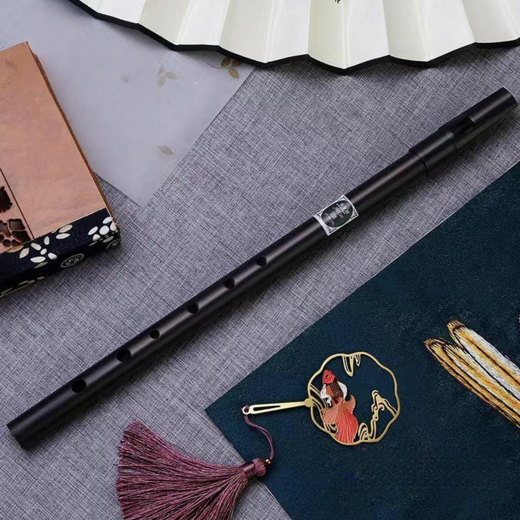 Tin Whistle Jinchuan, Aluminium, Flûte Irlandaise, Clé de D, Set Débutant, avec Sac de Rangement et Étui, Léger, Facile à Jouer, Instrument de Pratique, Noir