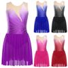 Women Lyrical & Skating Leotard: Mesh Patchwork Rhinestone Sleeveless Dress with Built-In Snap Briefs for Recital