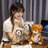 Cute And Soft Squirrel Raccoon Plush Toy For Kids Wholesale Animal Park Souvenir