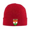 Niger Country Flag Beanie Hats Knit Hat Gym Warm Soft Adult Unisex Caps Autumn Design Street YK Bonnet Hats Birthday Gift