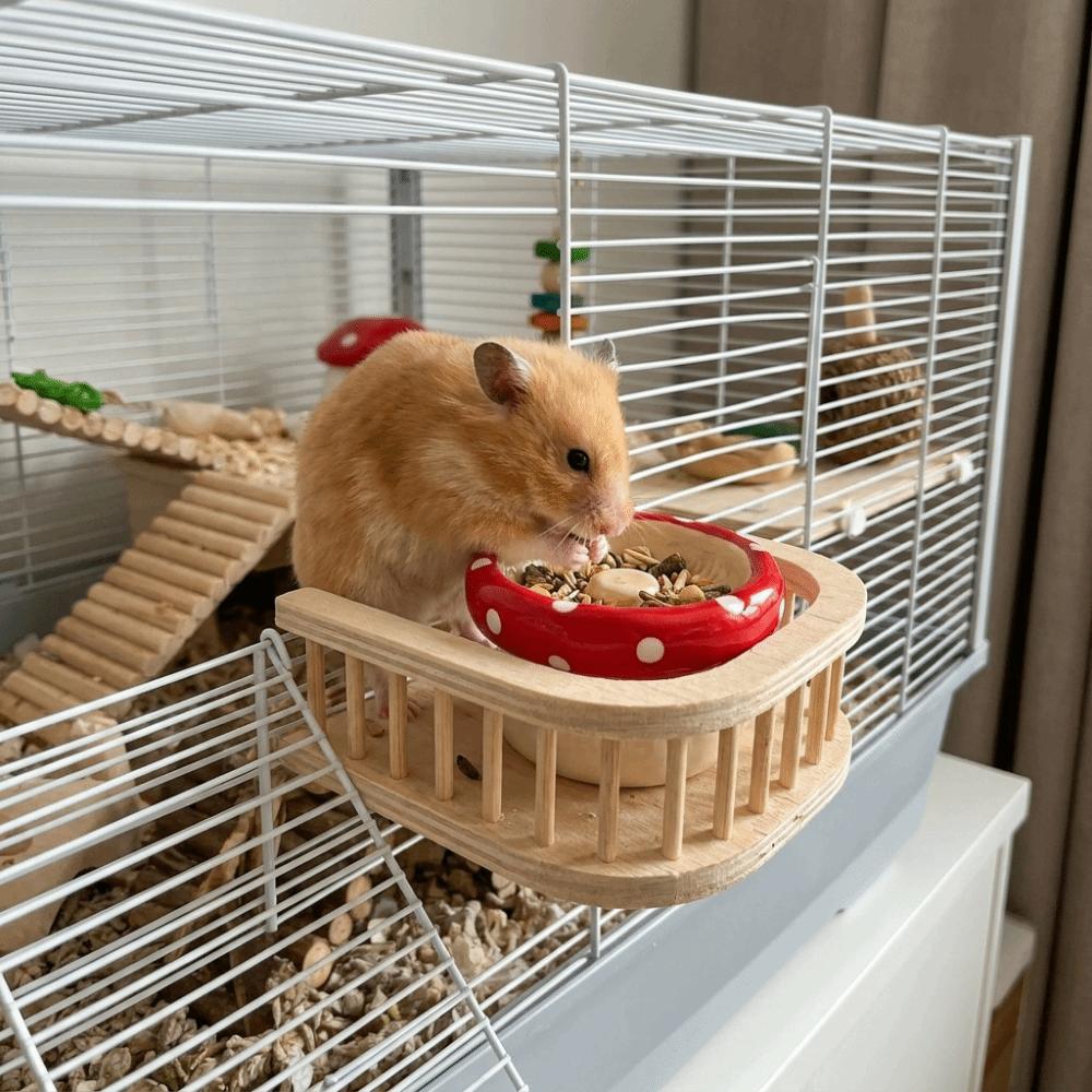 Ciotola per Cibo a Forma di Fungo in Ceramica per Criceti Vassoio di Alimentazione Multiuso Carino per Animali Domestici Ciotola per Cibo Anti-Sversamento per Porcellini d'India per Piccoli Animali