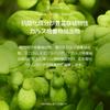 ODELOI Bogum Cactus Serum Loftig - Beauty Serum, Glowing Skin, Skin Soothing, Moisturizing, Face Serum, Korean Serum, Korean Skincare
