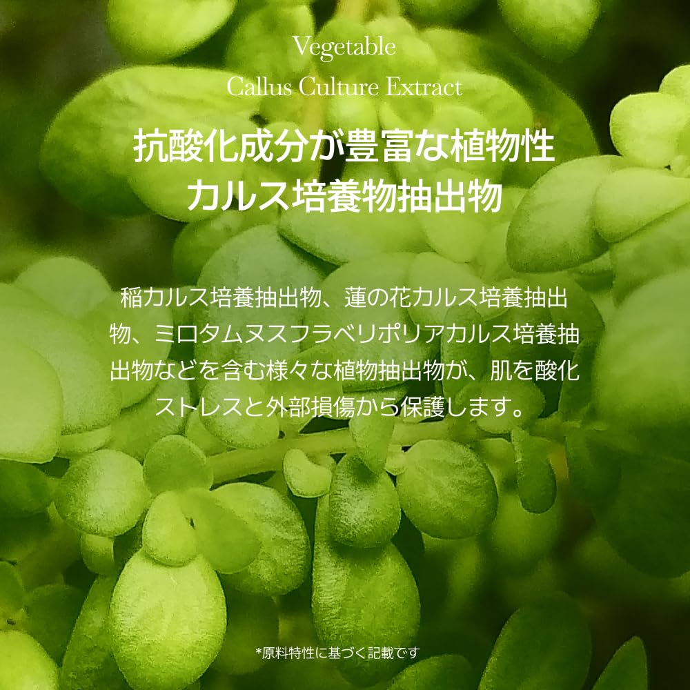 ODELOI Bogum Cactus Serum Loftig - Beauty Serum, Glowing Skin, Skin Soothing, Moisturizing, Face Serum, Korean Serum, Korean Skincare