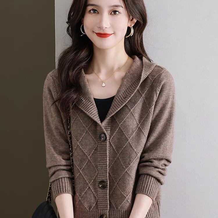 Hooded Knitted Cardigan Women's Autumn Clothing New Loose Casual Outer Sweater Hooded Small Coat