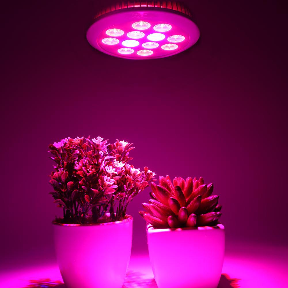 36W E27 LED Grow Light for Indoor Plants and Seedlings