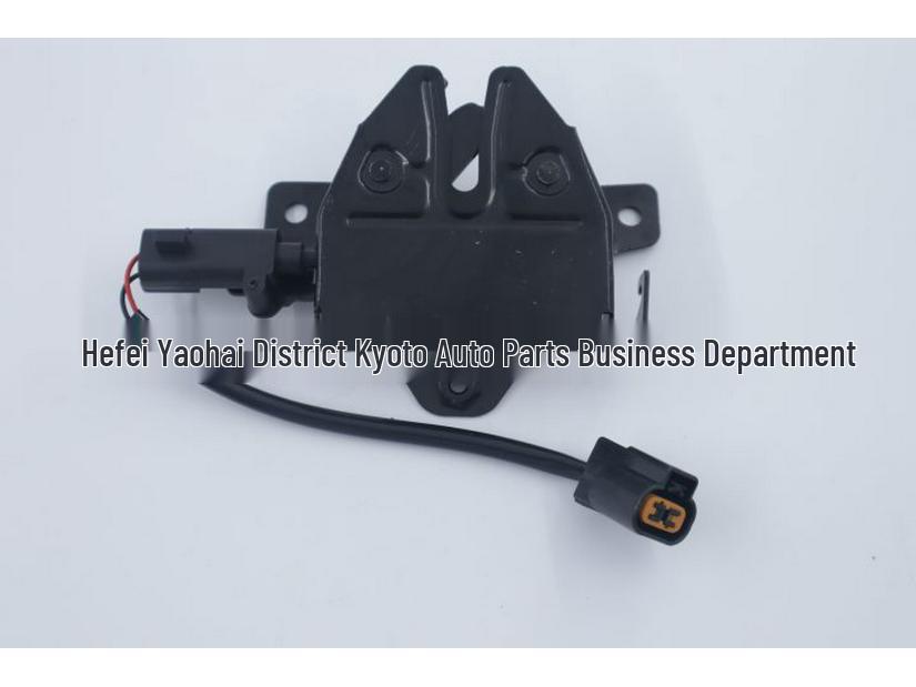 Hood Latch 811302W001 for Hyundai IX45